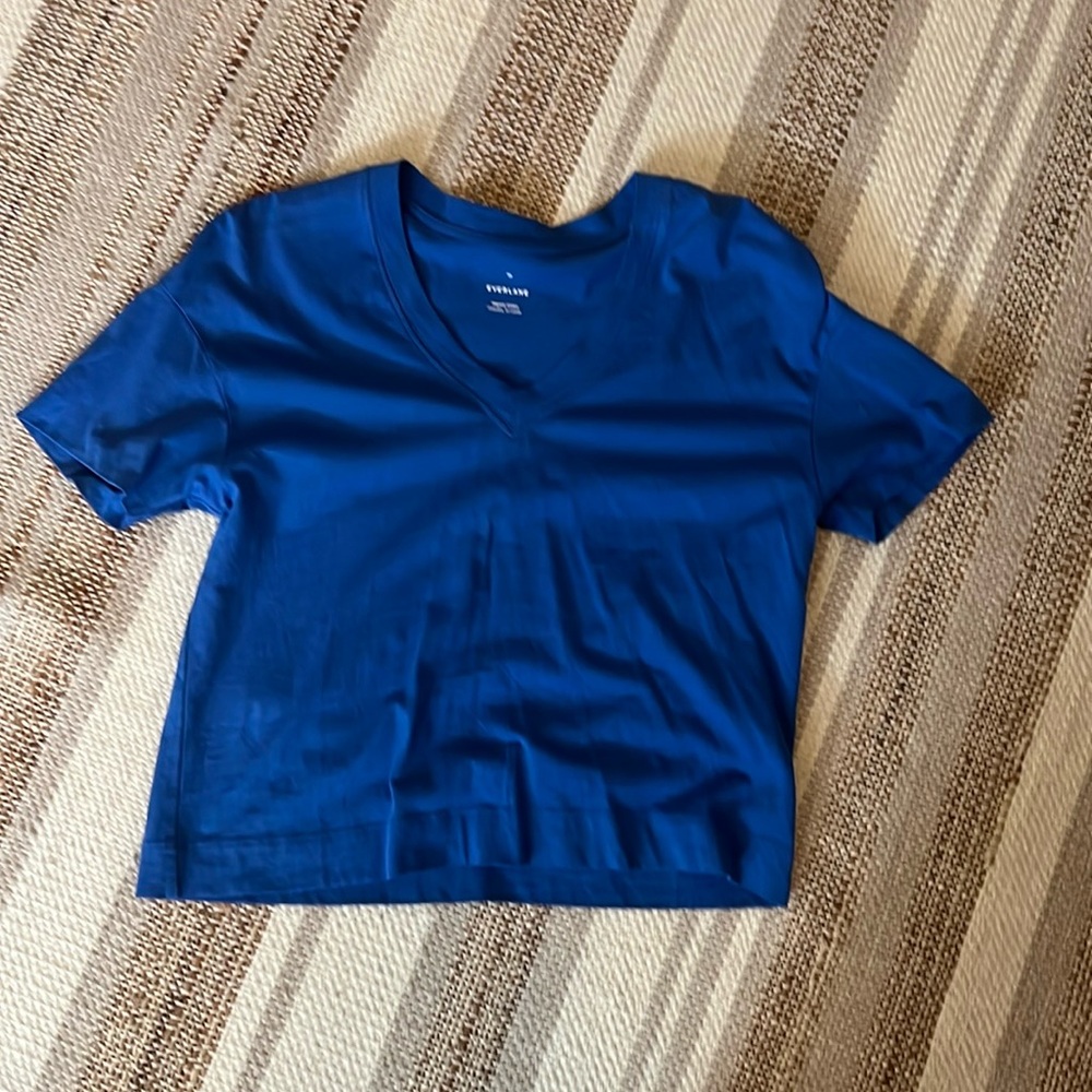 Everlane v neck crop top